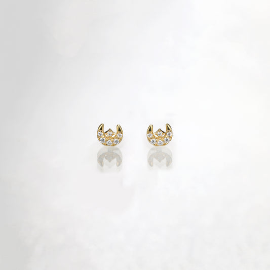 Dainty Crescent Moon Stud Earrings