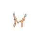 Lady Bow Knot Earrings